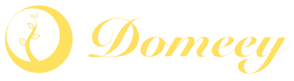 Domeey Inc